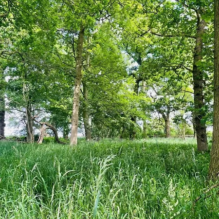 1 Bed In Richmond Oc-94696 * Moulton (North Yorkshire)